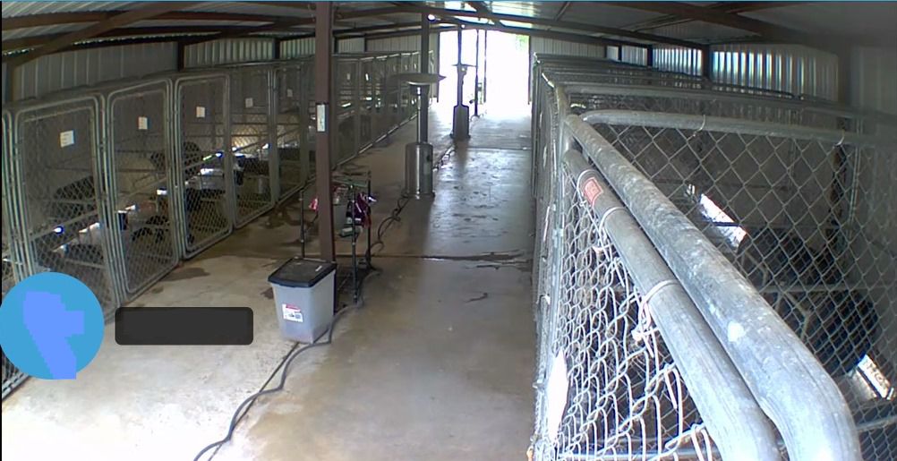 Kennel Two